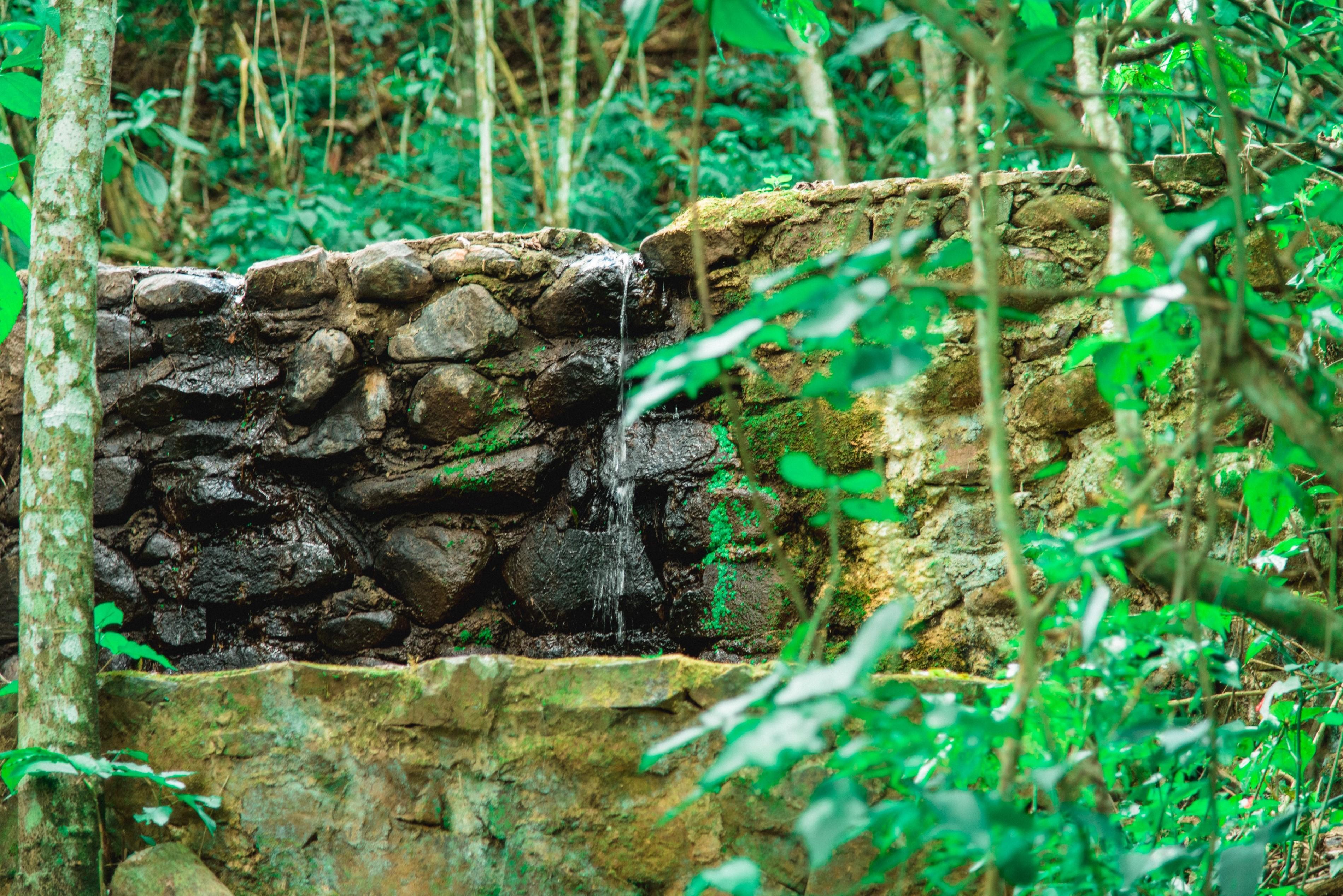 Canzi Cataratas Hotel Foz do Iguaçu Zewnętrze zdjęcie