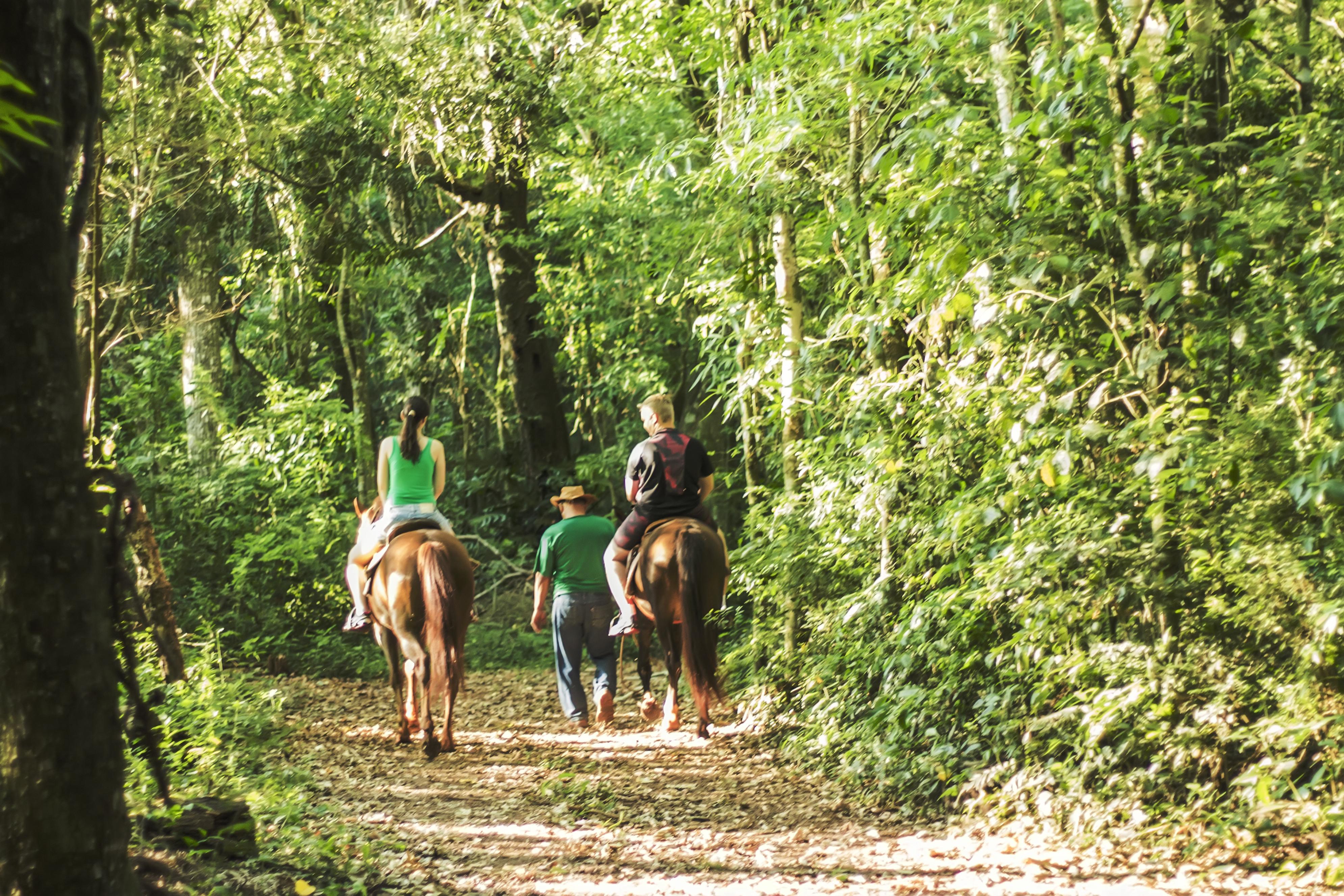 Canzi Cataratas Hotel Foz do Iguaçu Zewnętrze zdjęcie